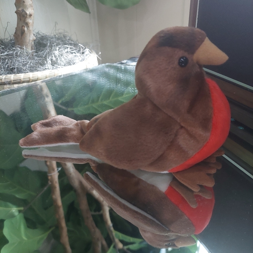 RARE Early the Robin TY Beanie Baby - Collectors find- 1997 - Picture 8 of 11